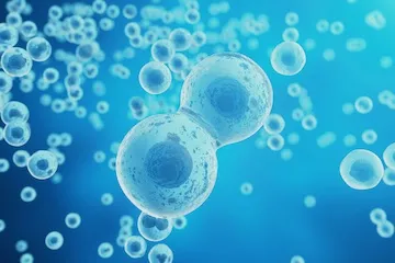 Exosomes